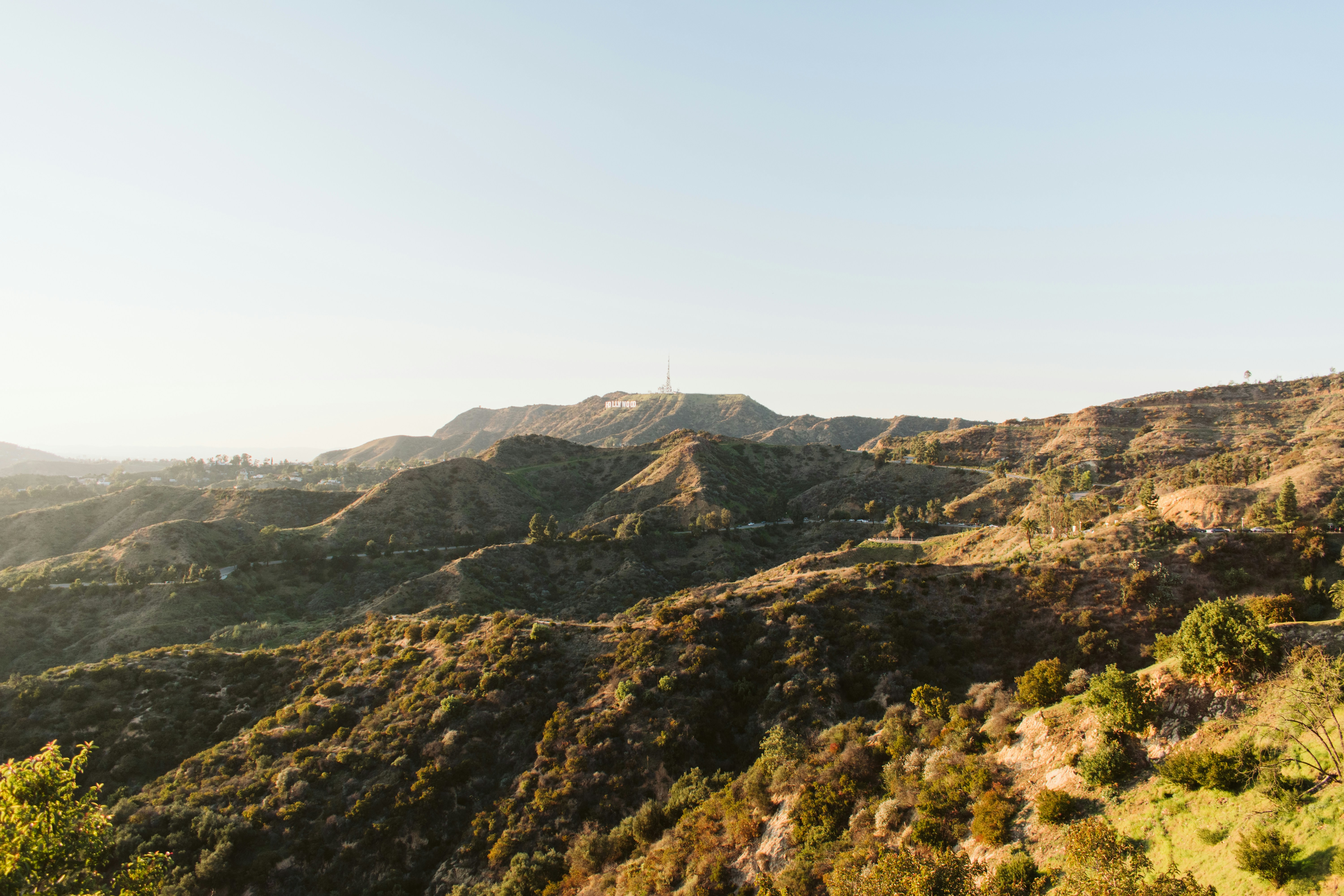 Minimalist interior space